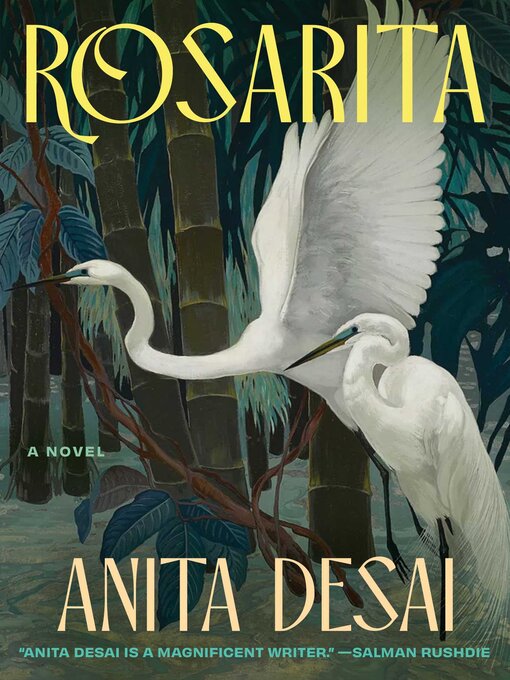 Title details for Rosarita by Anita Desai - Available